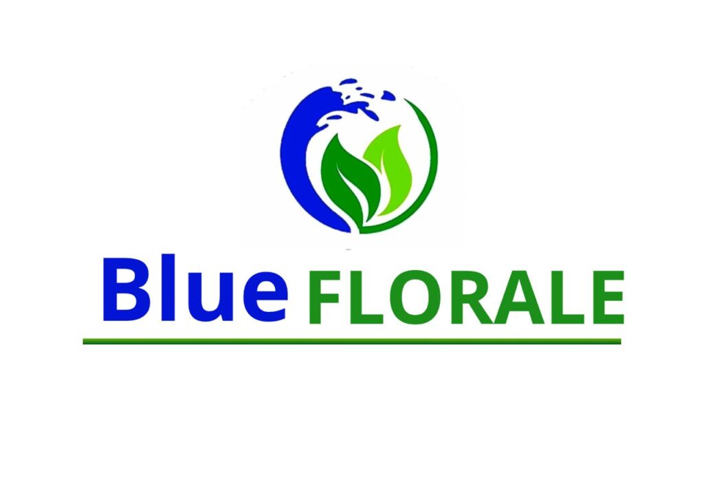 whatsapp image 2025 03 13 à 00.09.12 caadeecc