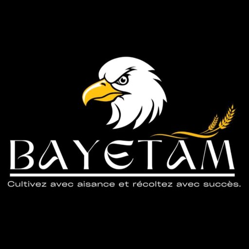 whatsapp image 2025 02 07 à 00.16.54 6691d298